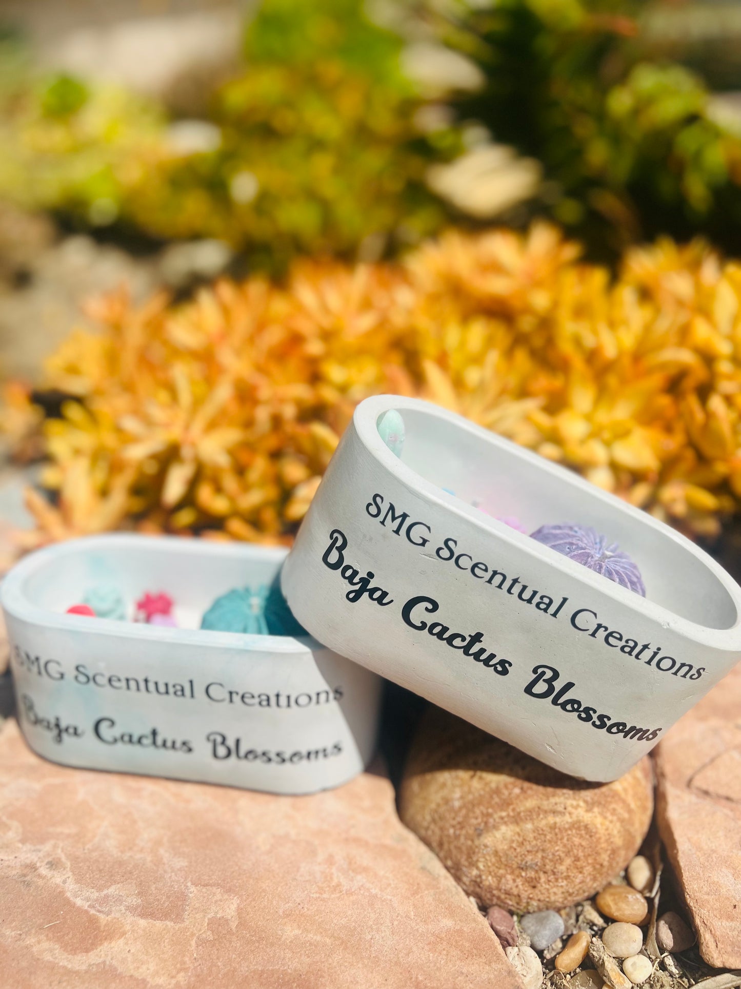 Baja Cactus Blossom Concrete Soy Candle 2 Wick Soy Candle Vegan Candle Toxic Free Candle Aromatherapy Candle Hand Poured Candle
