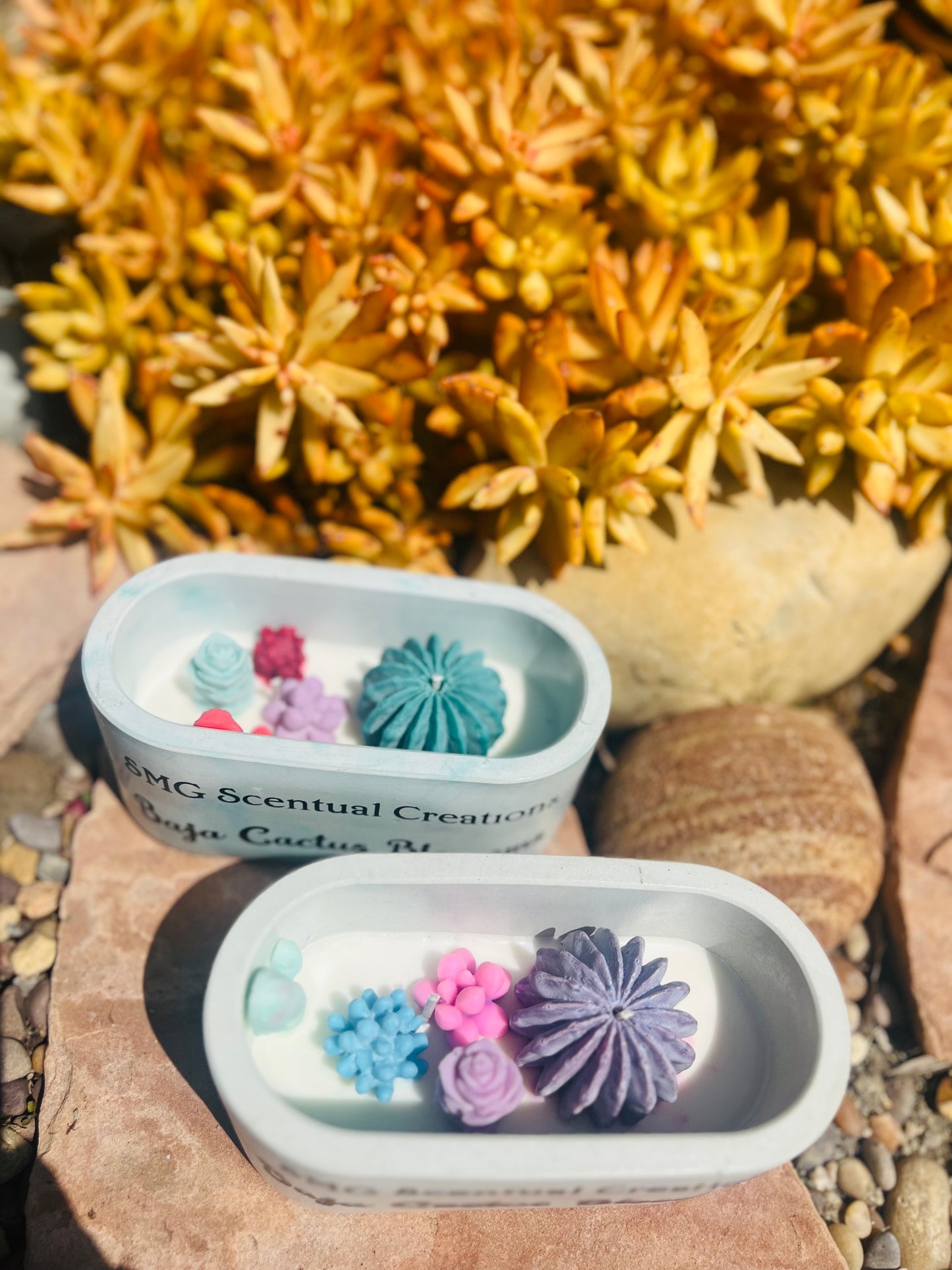 Baja Cactus Blossom Concrete Soy Candle 2 Wick Soy Candle Vegan Candle Toxic Free Candle Aromatherapy Candle Hand Poured Candle