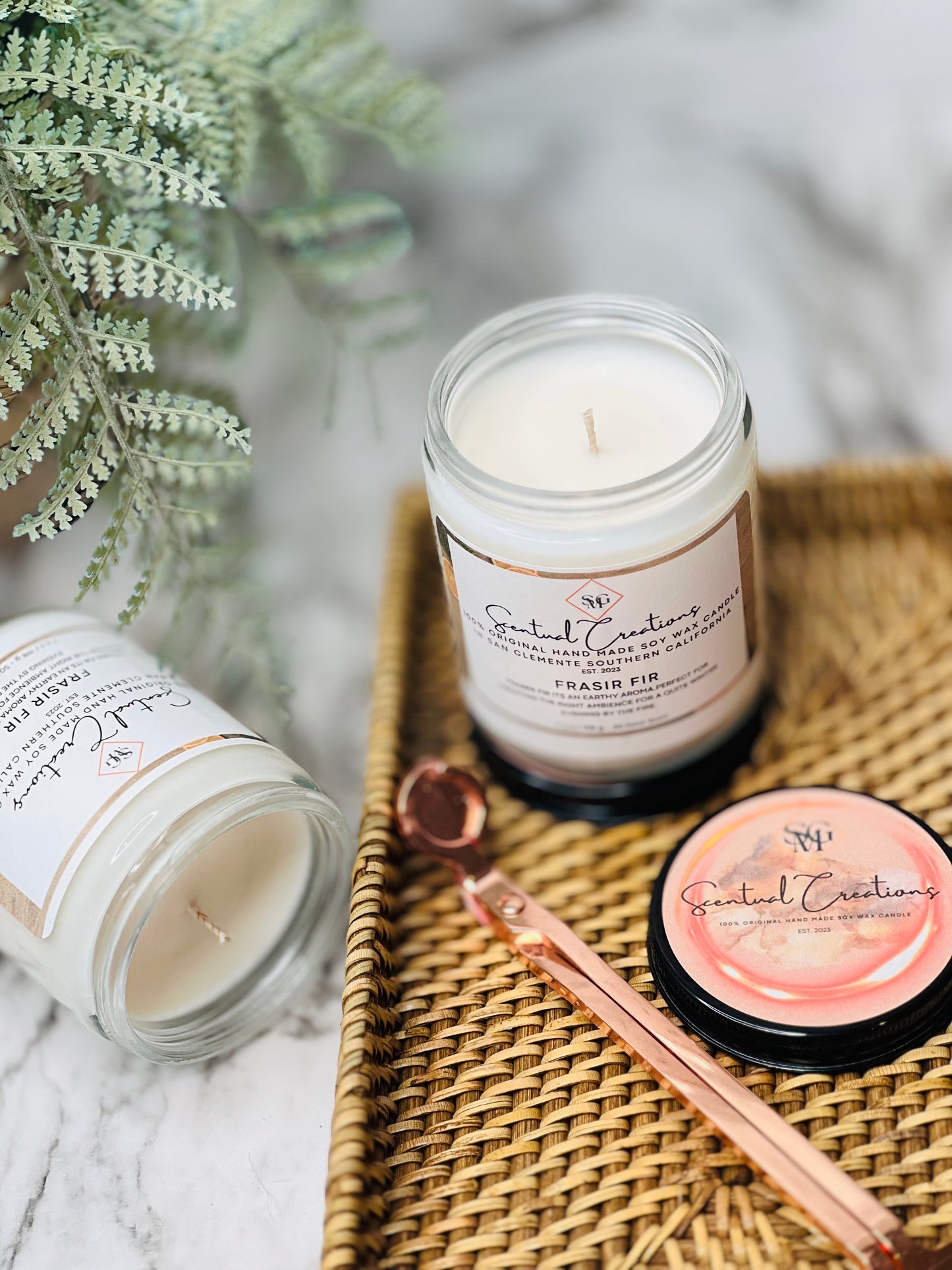 Fraser Fir Soy Candle Vegan Candle Natural Soy Wax Candle Toxic Free Candle Aromatherapy Candle Hand Poured Candle