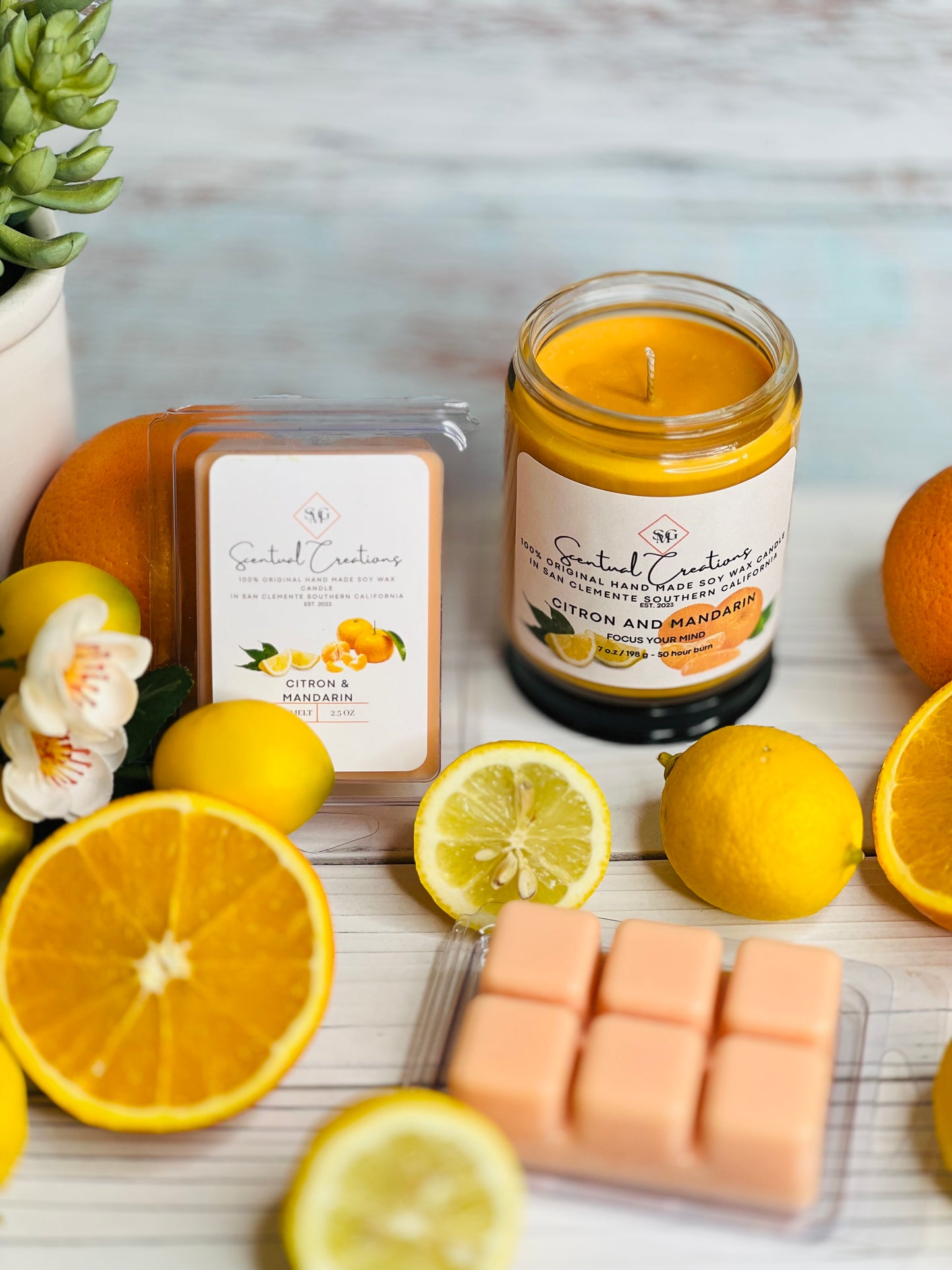 Citron and Mandarin Soy Candle Vegan Candle Natural Soy Wax Candle Toxic Free Candle Aromatherapy Candle Hand Poured Candle