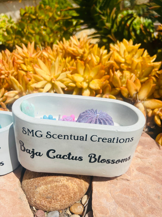 Baja Cactus Blossom Concrete Soy Candle 2 Wick Soy Candle Vegan Candle Toxic Free Candle Aromatherapy Candle Hand Poured Candle
