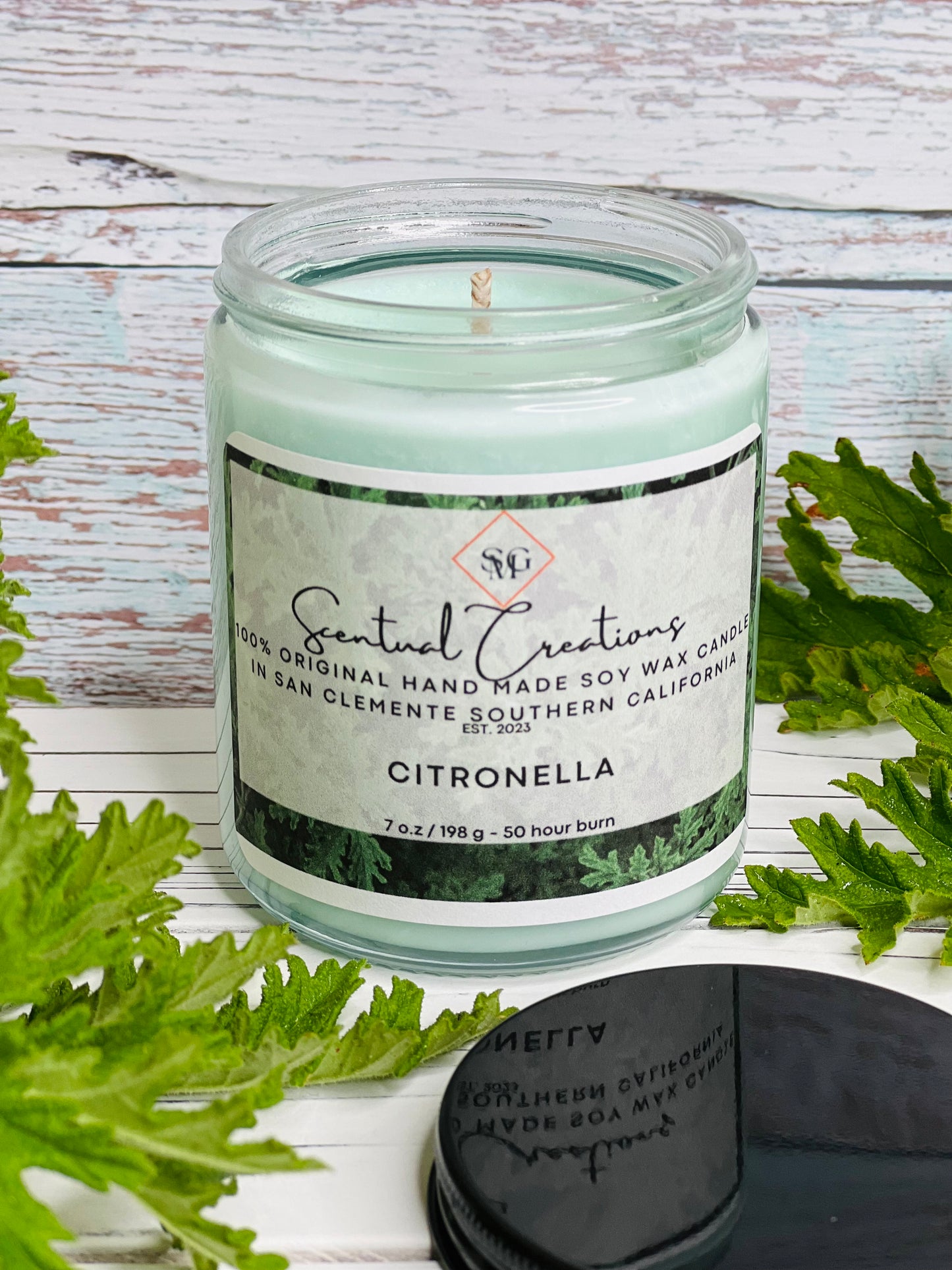 Citronella Soy Candle Vegan Candle Natural Soy Wax Candle Toxic Free Candle Aromatherapy Candle Hand Poured Candle